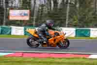 Lower Group Orange Bikes